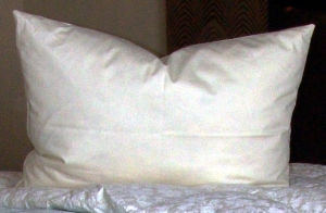 FP002.jpg