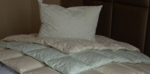 240 x 260 pehelypaplan nyári 800gr image 1 extra paplanok.jpg