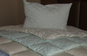 185 x 135 pehelypaplan téli 820gr image 1 extrapaplanok2.jpg